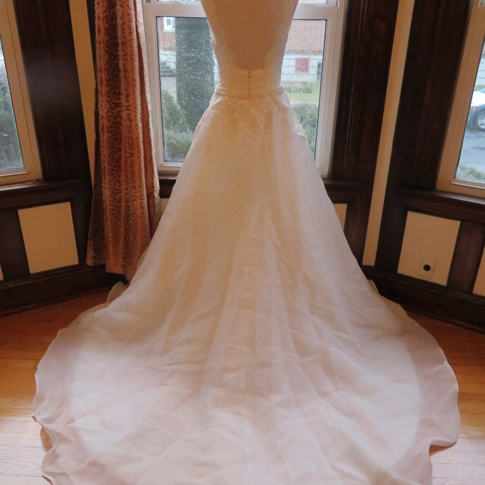La Sposa by Pronovias Wedding Dress Hakem - Picture 6 of 8
